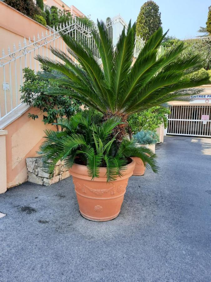 Superbe Appartement Une Chambre Vue Mer Piscine Tennis Cannes Exterior foto